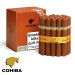 charuto cohiba siglo VI campinas